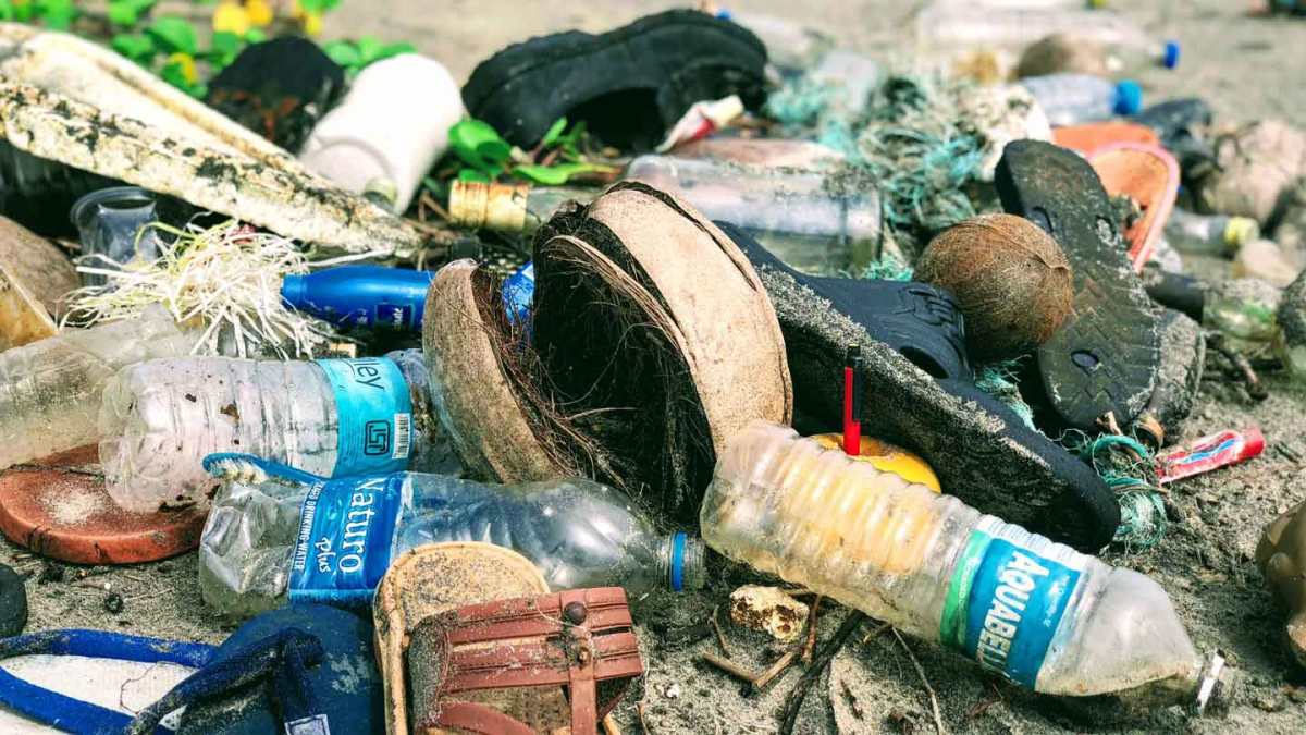 Waste management is something that needs a great portion of attention to  be considered if we aim a peaceful environment for us and our upcoming&nbsp;generations.