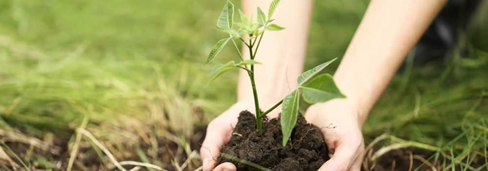 We live in a society that is becoming more polluted to the&nbsp;day