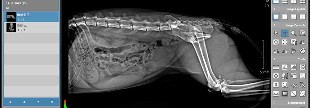 From the local PACS, you have upgraded to the RIS PACS system that’s a  cloud-based storage&nbsp;facility