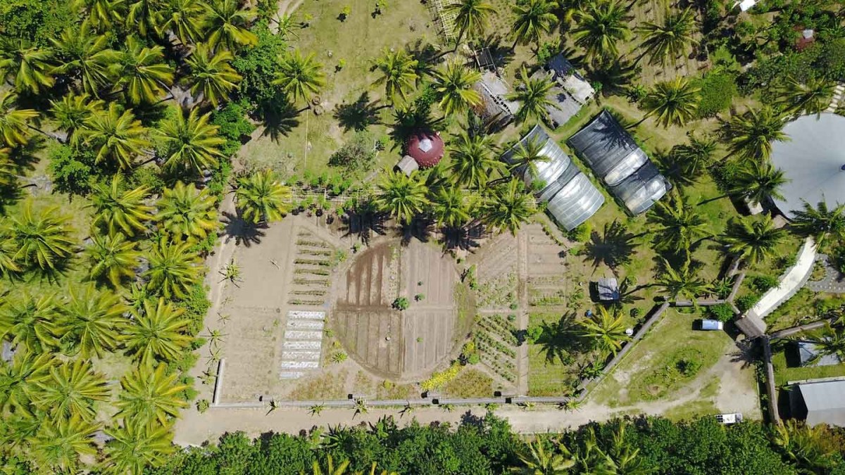 We live in a society that is becoming more polluted to the&nbsp;day